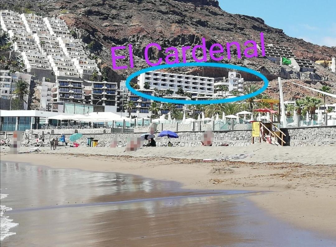 Apartamento El Cardenal Mick & Rosa Playa Del Cura  Exteriör bild